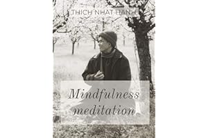 Mindfulness meditation: Intimate conversations with the Buddha