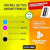 Supply Guy 5 Ink Cartridges for Brother LC-123 with Chip DCP-J132w J152w J4110dw view 3