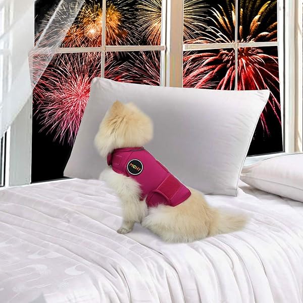 MCHY DOG ANXIETY VEST, ANXIETY RELIEF FOR DOGS, DOG CALMING COAT (ROSE M)
