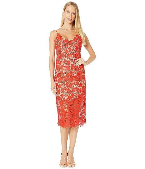 bardot tayla lace cocktail dress