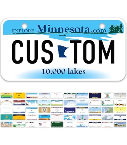 Custom 2x4 Inch Mini Florida Metal License Plate – Personalized With Your Name For Bicycle Or Bike