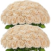 Carlita‘s Blooms 50Pcs Champagne Roses Artificial Flowers Artificial Silk Roses Bulk,Fake Roses Flower with Stems Realistic Flowers for Wedding Centerpiece Home Party Decor