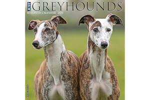 Willow Creek Press Greyhounds Monthly 2024 Wall Calendar (12" x 12")