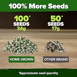 HOME GROWN - Snap Pea Seeds for Planting