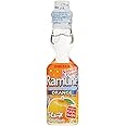 Sangaria Natural Orange Ramune (Single)