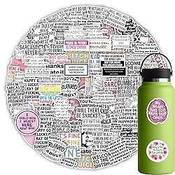 60Pcs Sarcasm Stickers, Sarcastic Quotes
