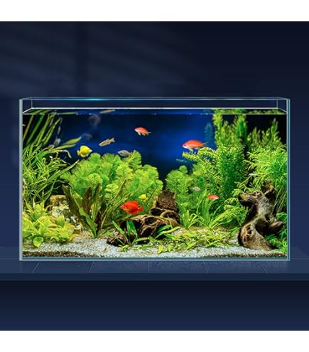 Gallon Beta Fish Tank Pawfly 5-Gallon Ultra Clear Glass Betta