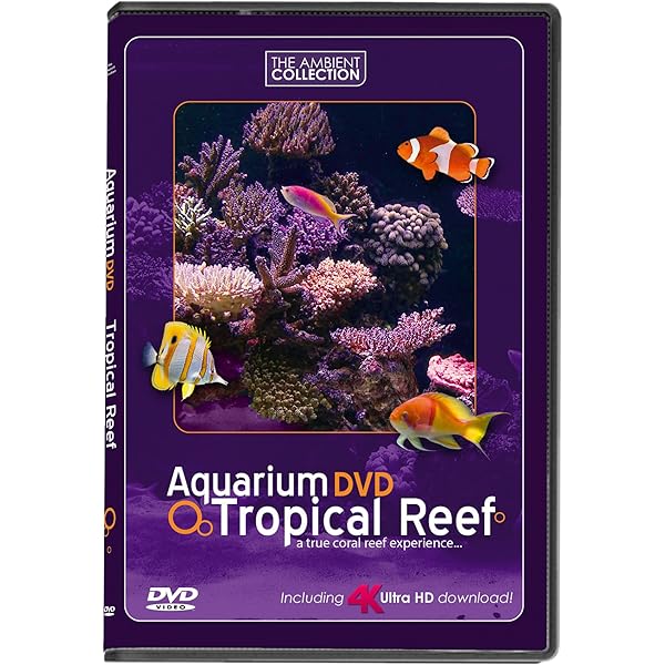 Amazon.com: Living Marine Aquarium DVD : Stephen D. Spivak: Movies