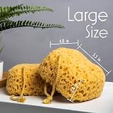 myHomeBody Bath Sponge Foam Loofah Large 3 Pack with Rope Hang Tag view 2