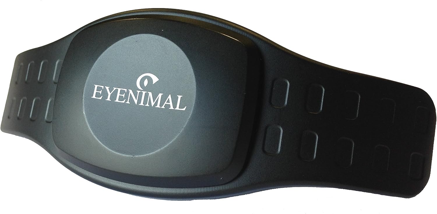 GPS POUR CHIEN DOG TRACKER EYENIMAL Amazon.fr Animalerie
