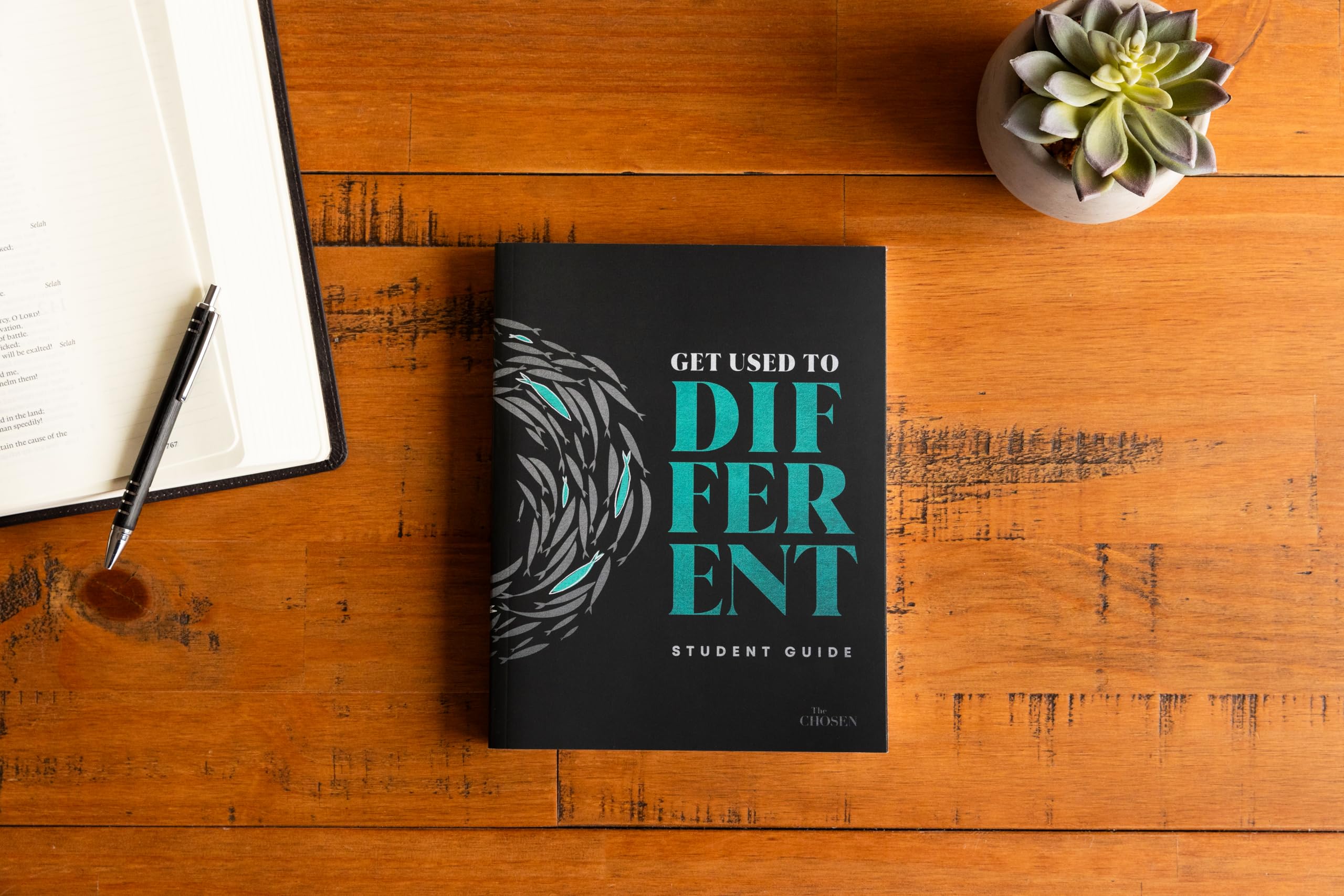 Get Used to Different: A Student Guide to The Chosen (The Chosen Bible Study Series)