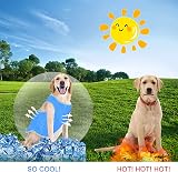 Runmeihe Dog Cooling Coat Vest Harness for Dogs Medium Large Small S view 5