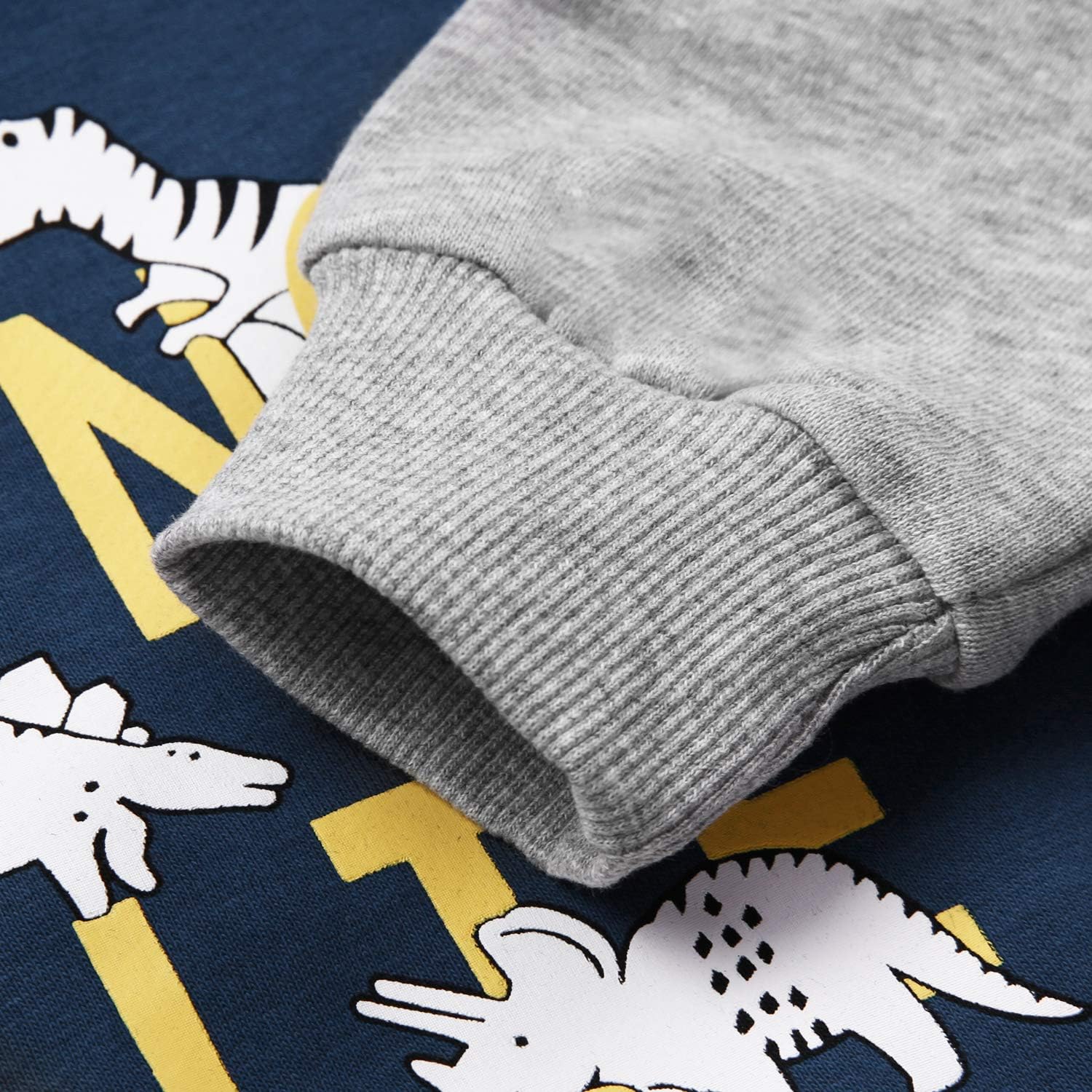 Toddler Boys Dinosaur Sweatshirts Cartoon Winter Long Sleeve Kids Sport Outdoor Pullover Tops Tees 2T-8T: Clothing