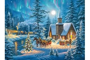 ijbnhd Christmas Diamond Painting Kits for Adults Winter DIY 5D Diamond Art Kits Village Christmas Carriage Gem Art Craft Kits for Home Wall Decor Gifts16X12IN