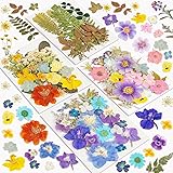 Dried Flowers, Resiners 100Pcs Pressed Flowers for