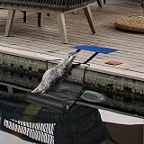 Quzente Pool Animal Ramp for Small Animals - Rescue Tool for Pools view 6