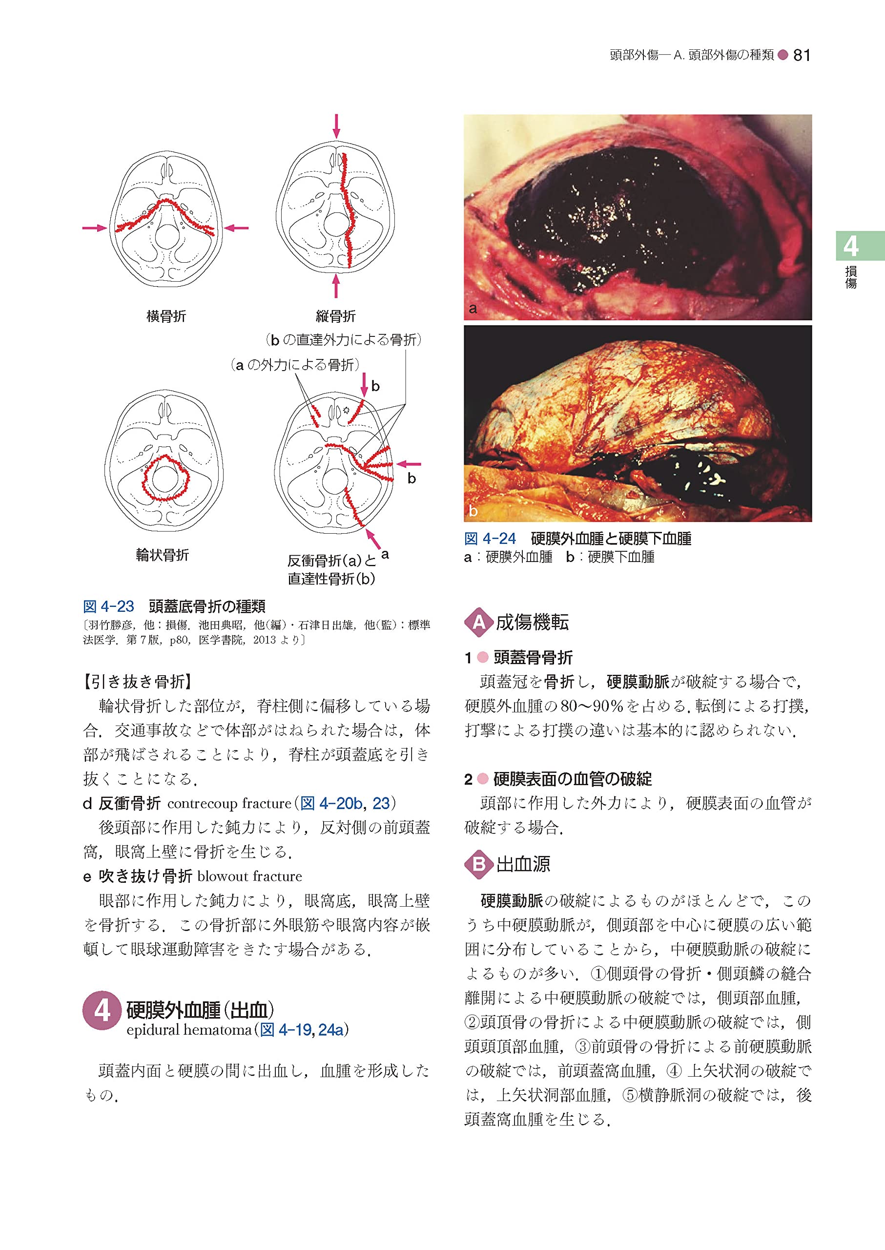 法医学専門医: 法医学 有名医学部 – Westchester United