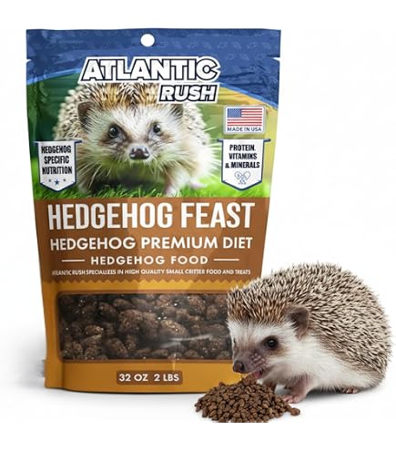 Best Treats for Hedgehogs: Top Healthy and Tasty Snacks Best Treats for Hedgehogs: Top Healthy and Tasty Snacks