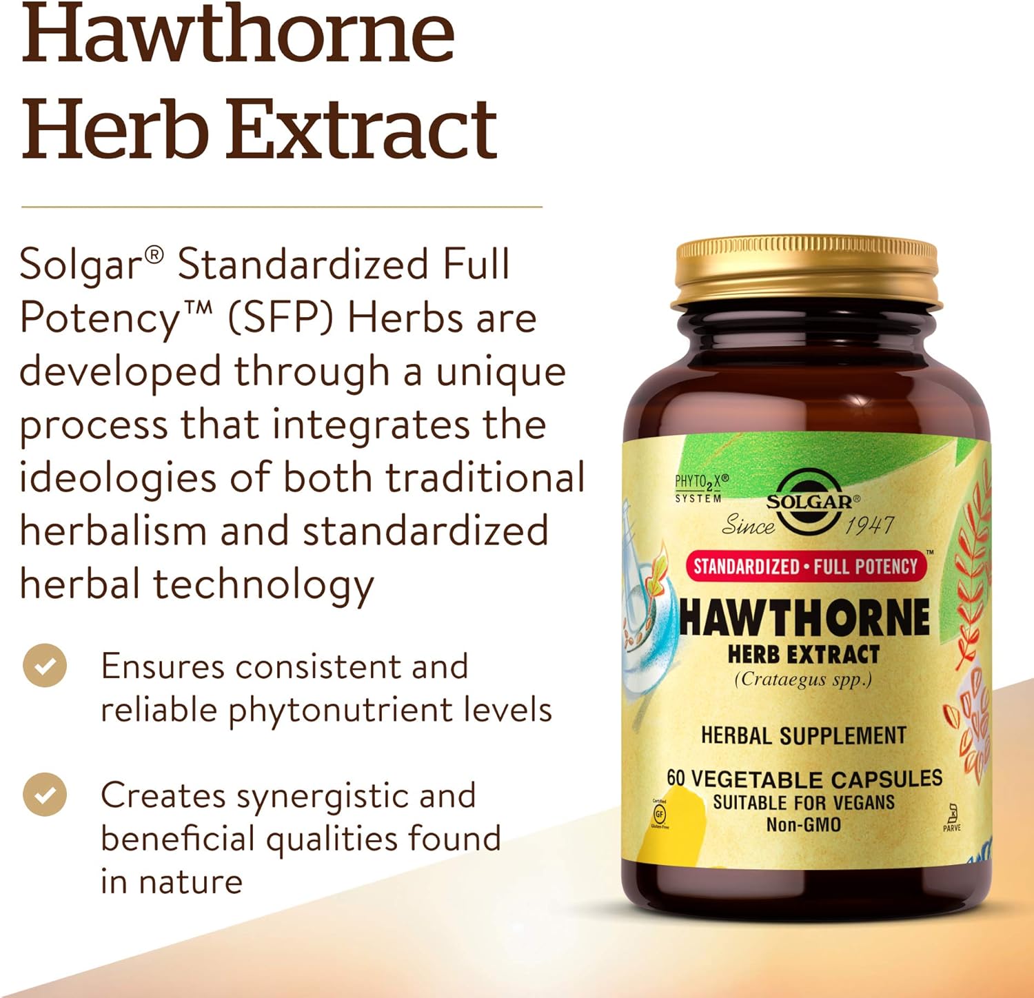 Solgar Standardized Full Potency Hawthorne Berry Herb Extract Vegetable Capsules, 60 Count: Health & Personal Care