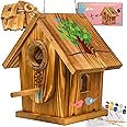 Bird Houses for Outside,DIY Kit for Adults & Kids,Solid Mortise & Tenon Structure,Carbonized for Durability and Aesthetic Appeal,Easy to Clearance,Paint Kit Included