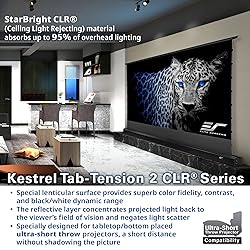 Elite Screens Kestrel Tab-Tension CLR, 121 inch