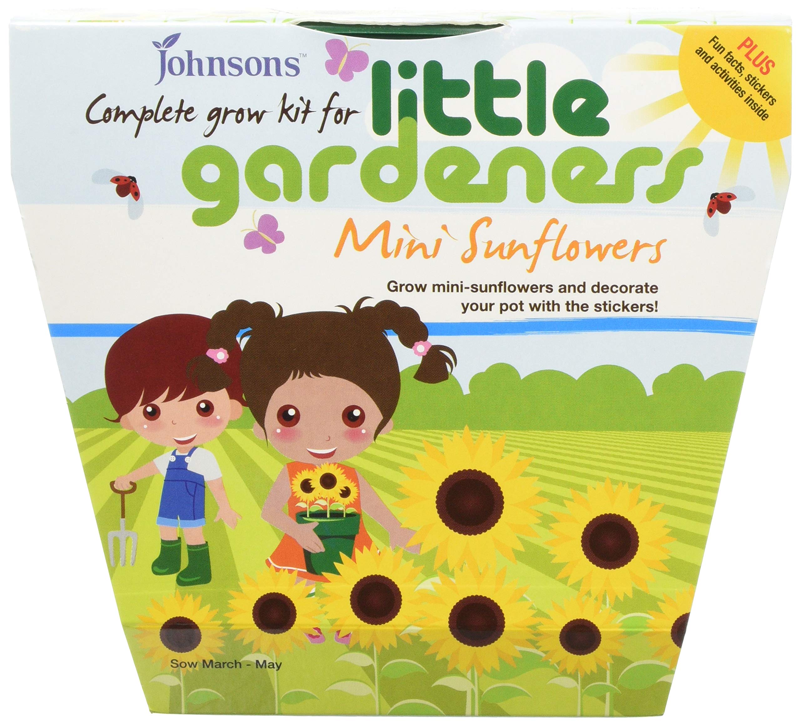 Mr Fothergills 16555 Johnsons Little Gardeners Mini Sunflowers Grow Kit - Multi-Colour