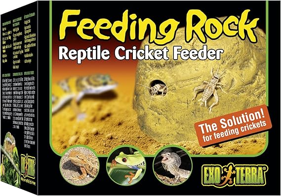 Amazon Com Exo Terra Reptile Cricket Feeder Pet Feeding And