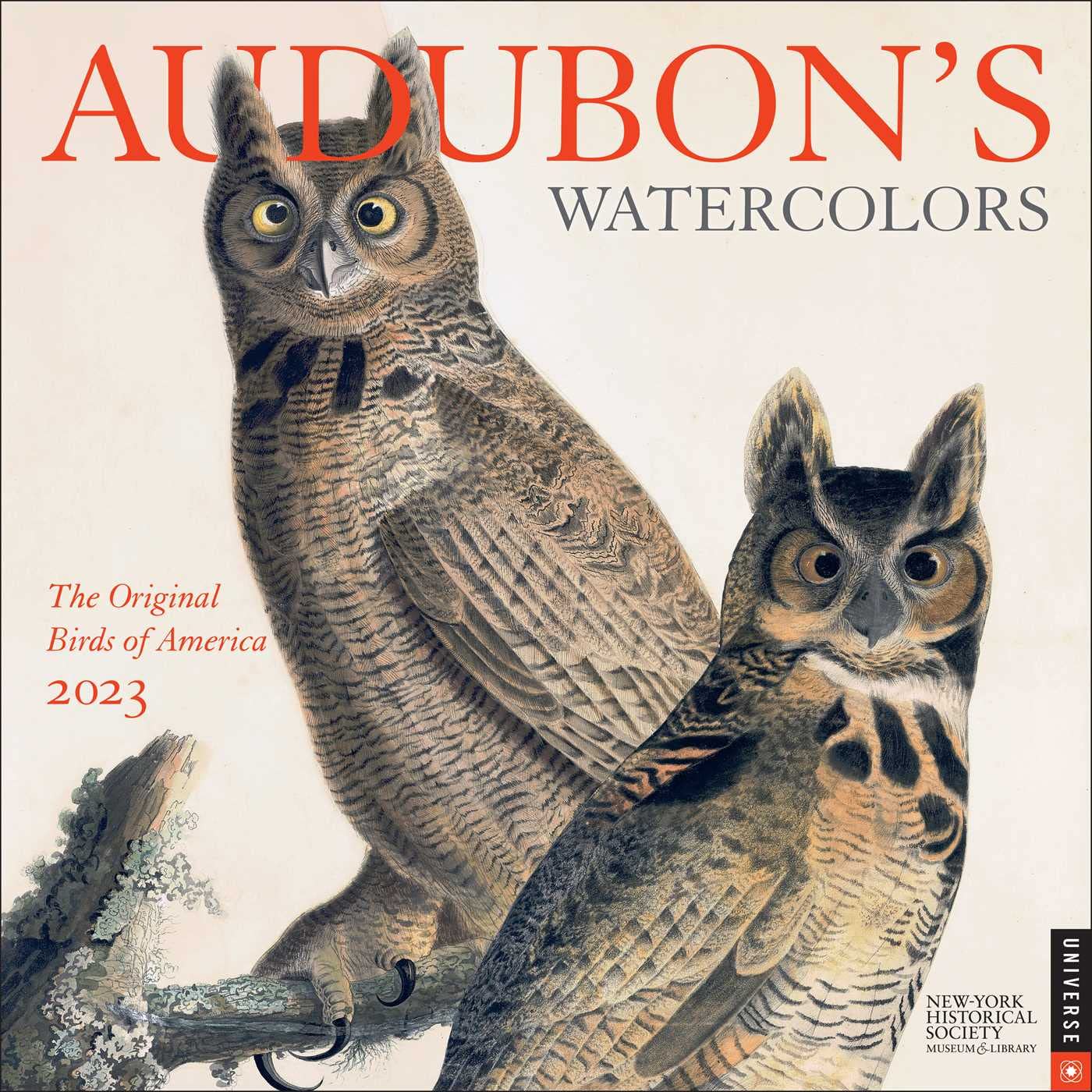 Audubon Bird Calendar 2023 Audubon's Watercolors 2023 Wall Calendar: The Original Birds Of America:  New-York Historical Society The: 9780789342300: Amazon.com: Books
