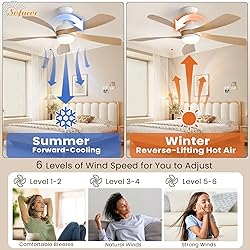 Sofucor 52" Smart Ceiling Fan, Indoor/Outdoor