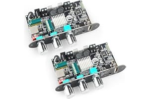 2Pcs ZK-1001U Mono Amplifier Board with TWS, 100W Power Output, Vehicle Amplifier Supports USB/AUX/Bluetooth,Wide Voltage Inp