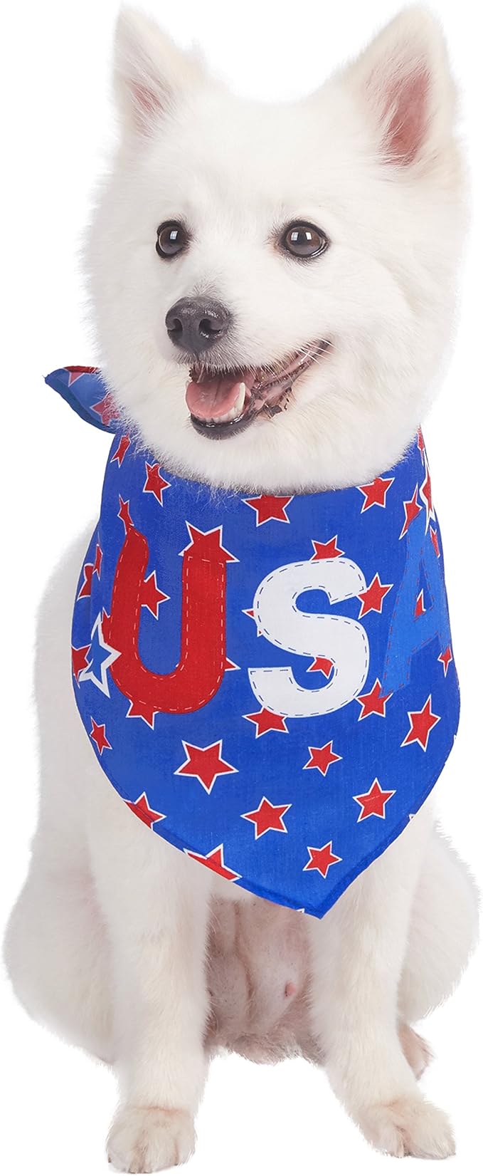 Xsmall dog bandana Clearance