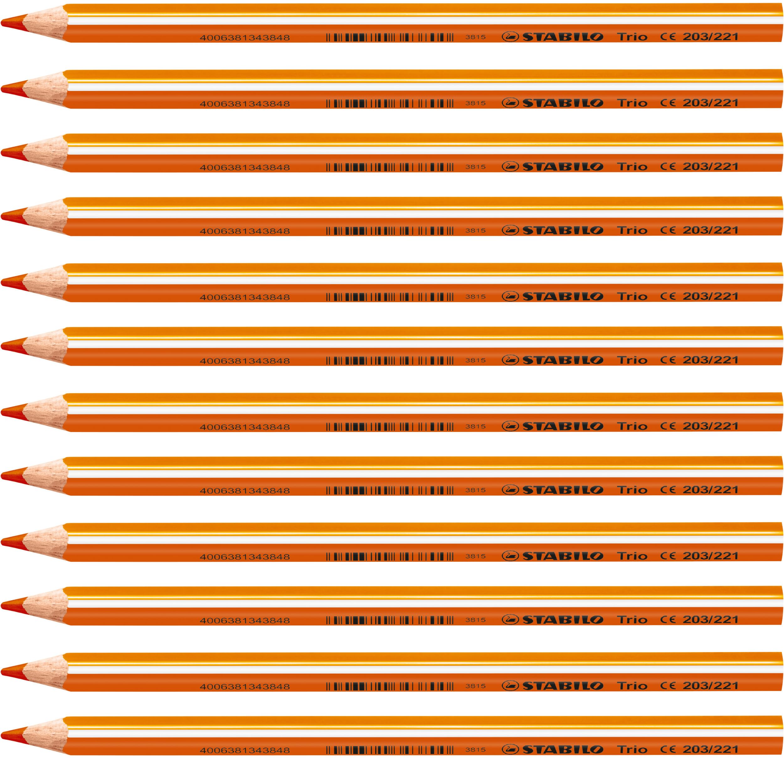 STABILO Colouring Pencil Trio thick, Orange, 12 Count (Pack of 1)