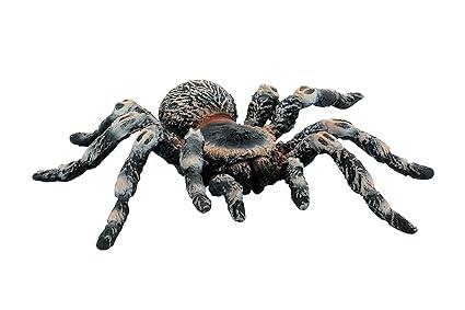 Bullyland 68457 - Spielfigur, Weißknie Vogelspinne mit beweglichen Beinen, ca. 8,5 cm