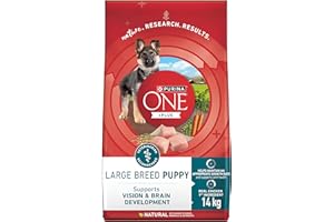 Purina ONE +Plus Large Breed Dry Puppy Food with Chicken - 14 kg Bag