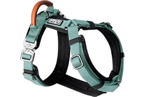 MADE TO ROAM Premium Explorer Harness - Y-Shaped Dog Harness with Adjustable Durable Nylon, Soft Padding, Metal Buckles and Leather Handle for Small, Medium, Large Dogs (Florida Seaside, Size 3)