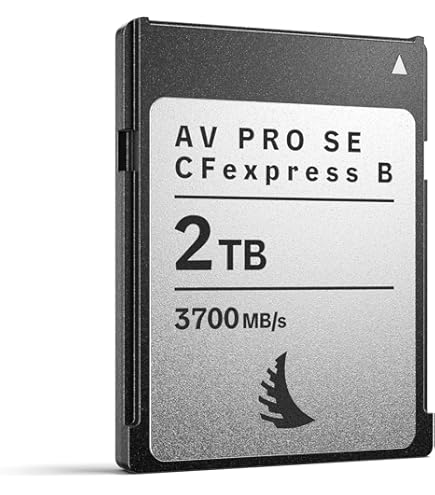 Amazon.com: Angelbird AV PRO SE CFexpress B v4 1 TB