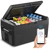 Feelfunn 12V Refrigerator 21QT Portable Freezer Electric Cooler Black | APP Control, Fast Cooling 15-Mins, -4℉~68℉ Portable Fridge 12/24V DC &amp; 110-240V AC for Truck, RV, Van, Camping &amp; Road Trip