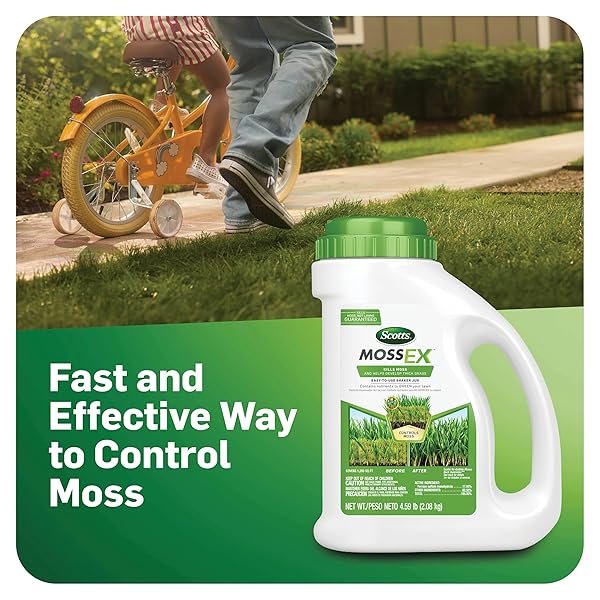 SCOTTS MOSSEX, MOSS KILLER FOR LAWNS, EASY-TO-USE SHAKER JUG, CONTAINS FERTILIZER TO GREEN GRASS, 4.59 LBS.
