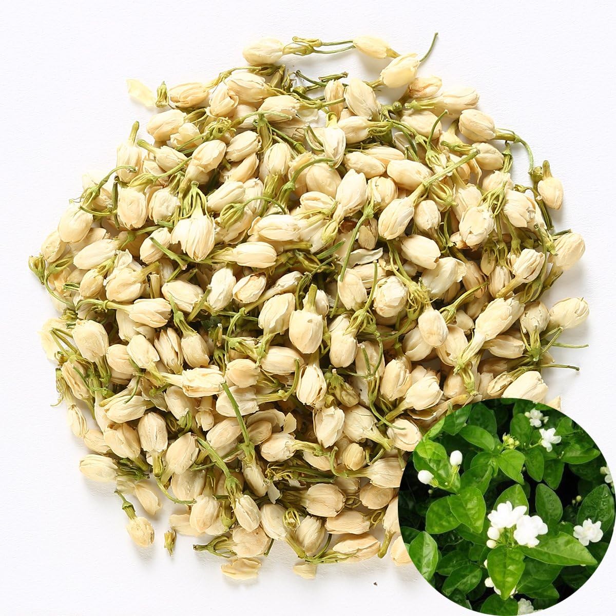 TooGet Fragrant Natural Pure Jasmine Buds Dried Jasmine Flowers Wholesale Herbal Tea 2 OZ
