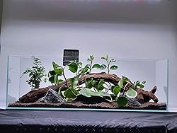 6 Gallon Low Iron Glass Bookshelf Aquarium 5mm