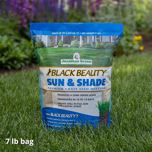 JONATHAN GREEN (12005) BLACK BEAUTY SUN & SHADE GRASS SEED – COOL SEASON LAWN SEED (7 LB)