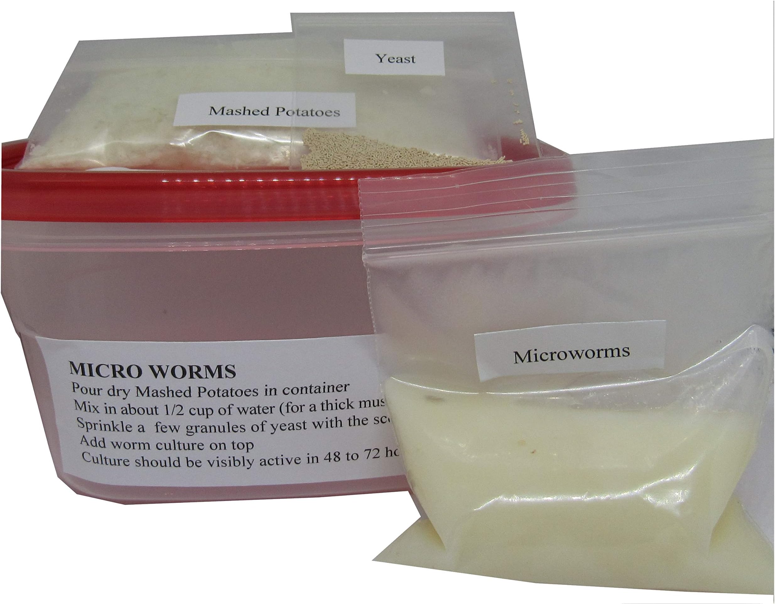 CheffiesFeeds Microworm Culture Kit Micro Worm Fry Food Baby Fish Feed Complete with Medium Container Yeast & Scoop