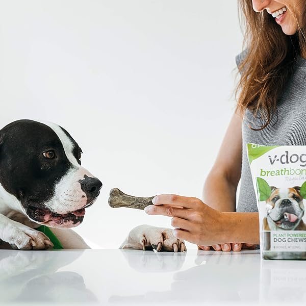 V-DOG DOG TREATS – VEGAN BREATHBONE TEETH CLEANING DENTAL DOG BONES – FRESH BREATH – 8 OUNCES – ALL NATURAL – MADE IN USA – 6 BONES – 4″ LONG – EASY TO DIGEST