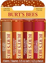 Burts Bees Lip Balm Gift Set Chai Tea Pumpkin Vanilla Maple Pomegranate 4x4.25g