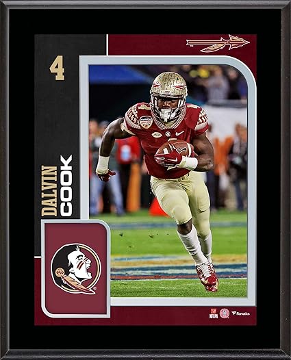 dalvin cook florida state jersey