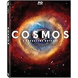 Cosmos: A Spacetime Odyssey
