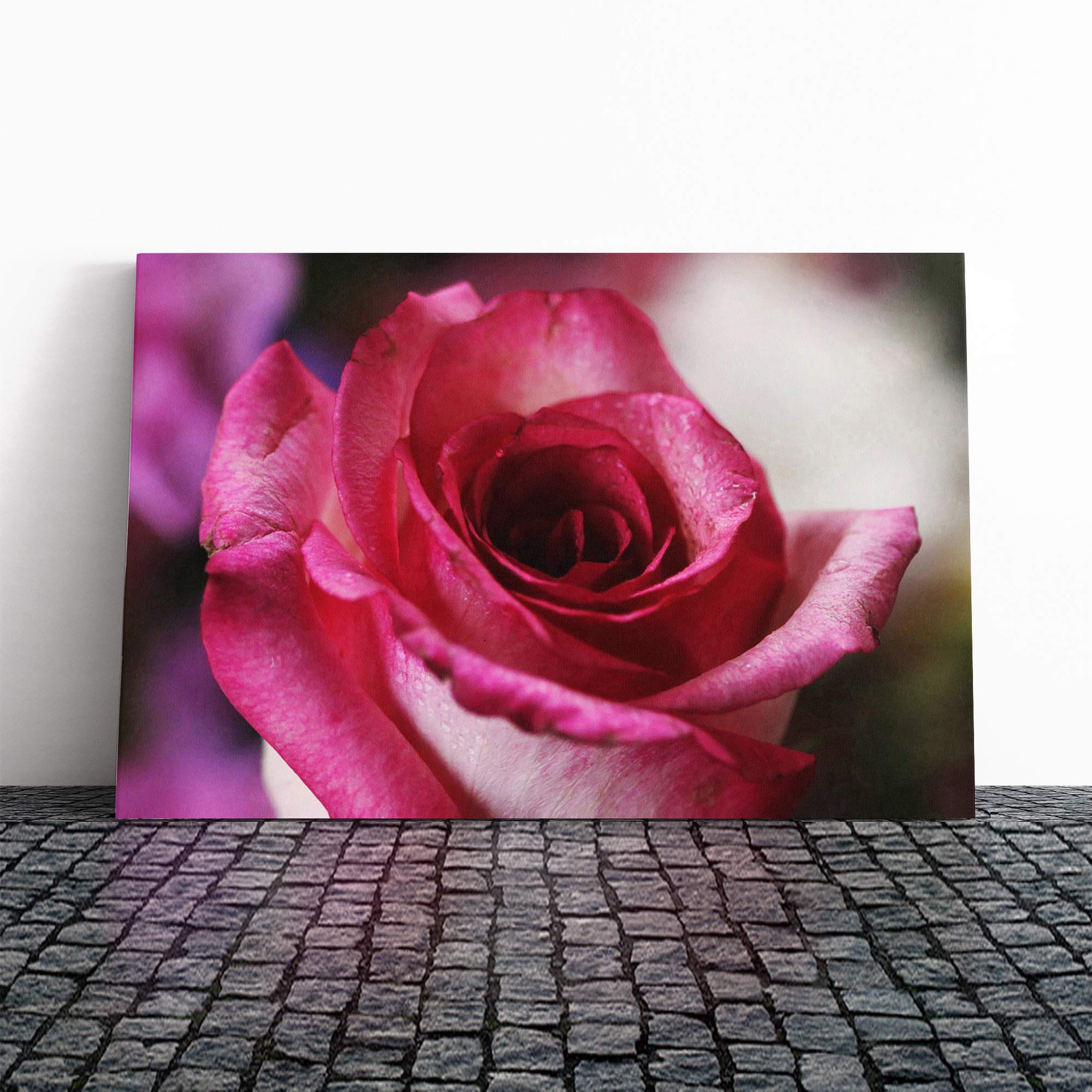 Flower Pink Rose (1) Canvas Print | Gallery Wrapped 30mm Frame Wall Art | 20x14 inches | Ready to Hang | Contemporary Floral Picture | Living Room Bedroom Lounge Office