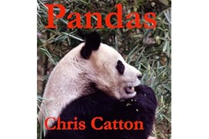Pandas