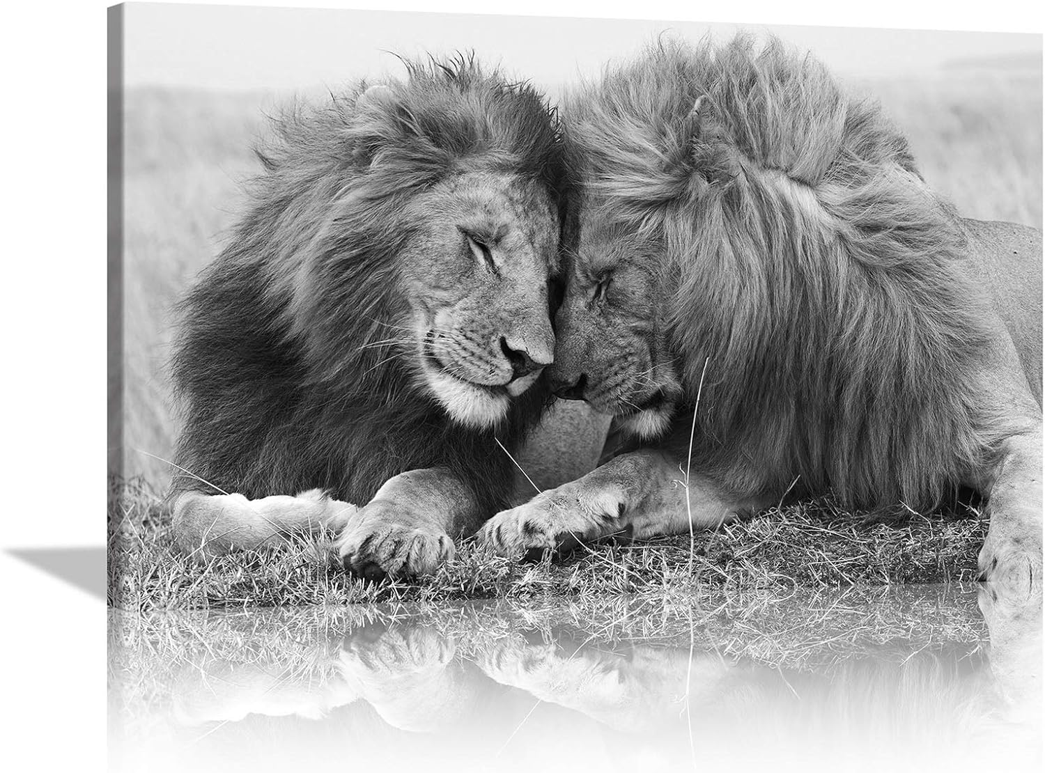 KALAWA Lion Wall Art Black and White Lion Wall Decor African Animal