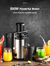 Reemix Juicer Centrifugal 3-Inch Wide Mouth Dual Speed Stainless Silver 500W view 5